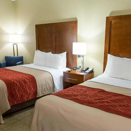 Comfort Inn Dfw Airport North-3